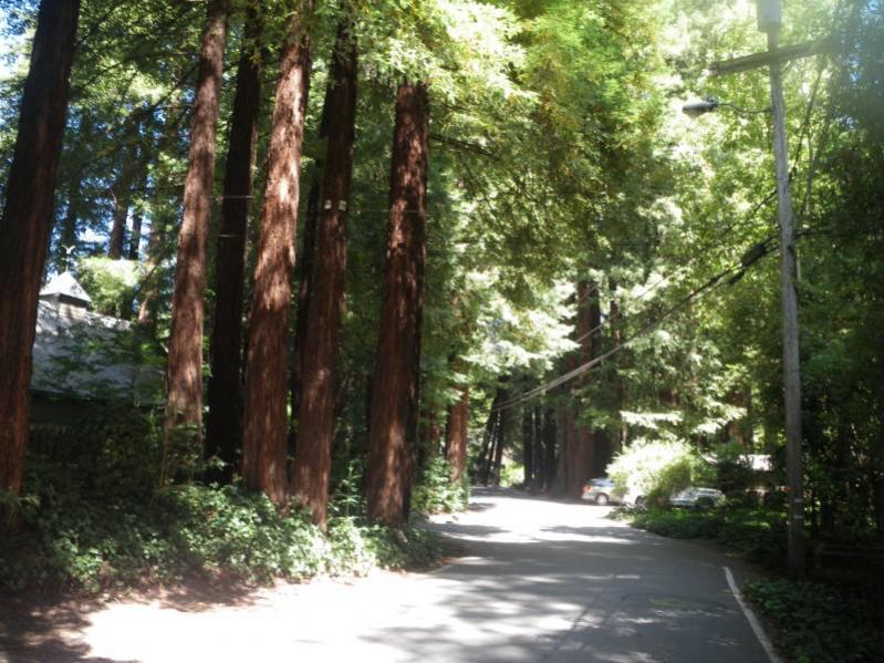 22  Old Mill Valley