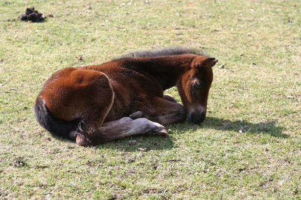 Baby 2 Tage alt