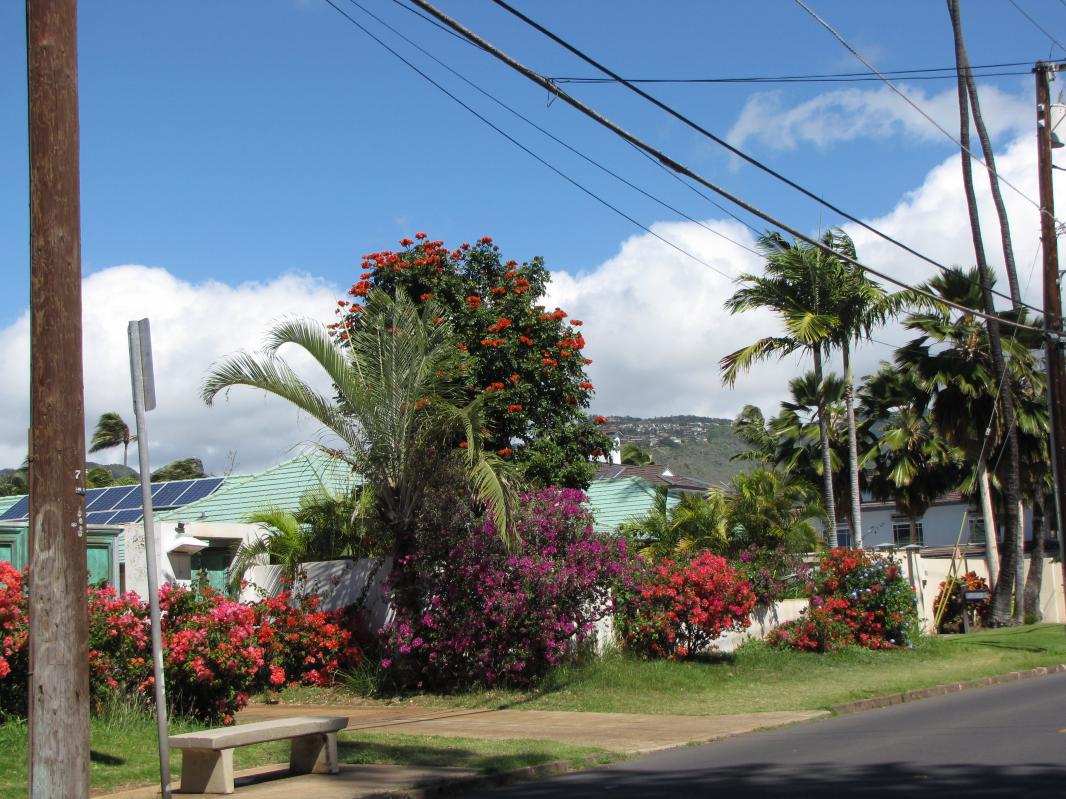 Berverly Hills