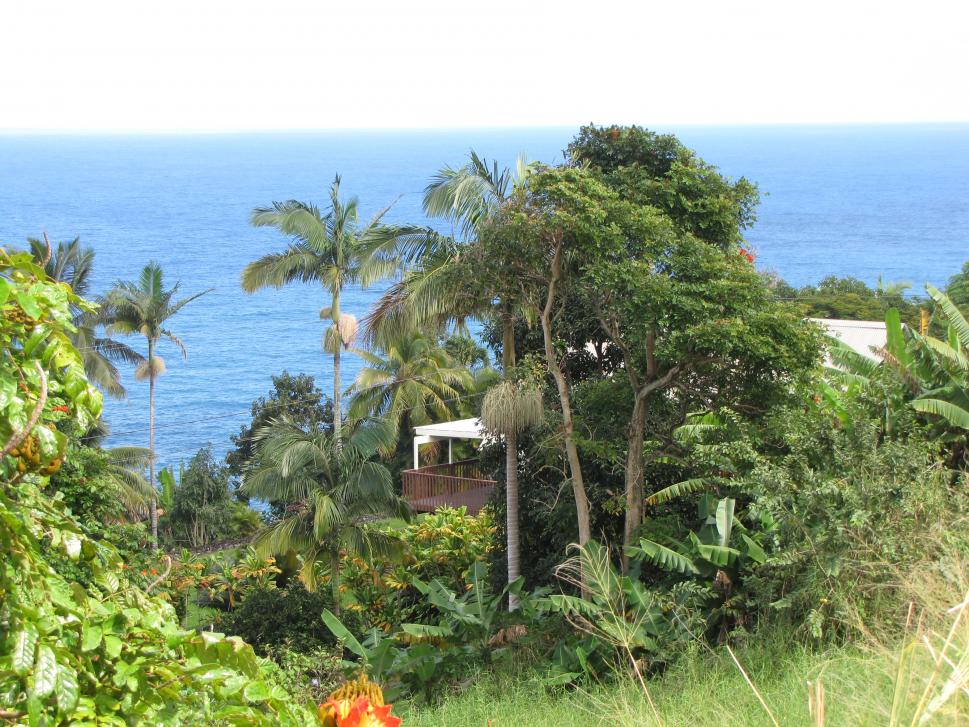 Big Island