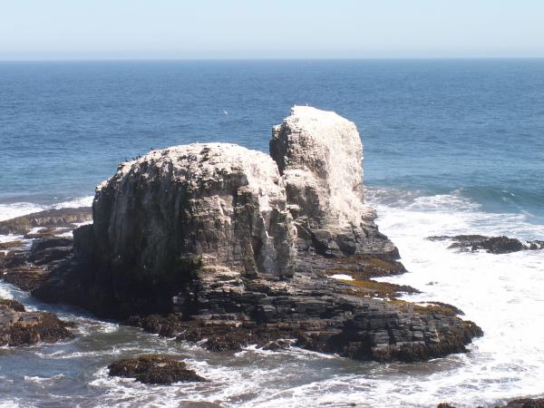 Chile / PazifikkÃ¼ste bei Algarrobo