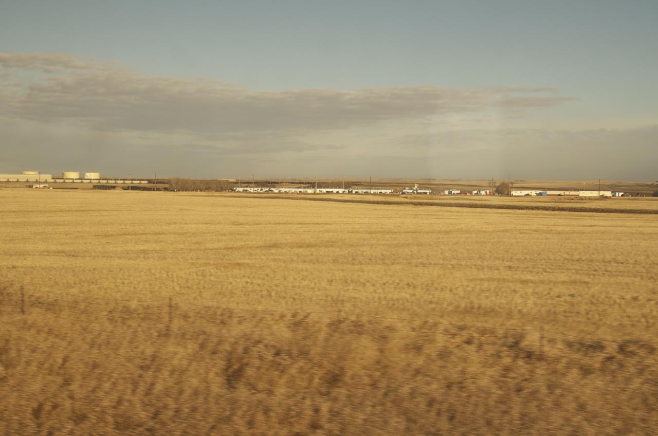 DSC 0391 2