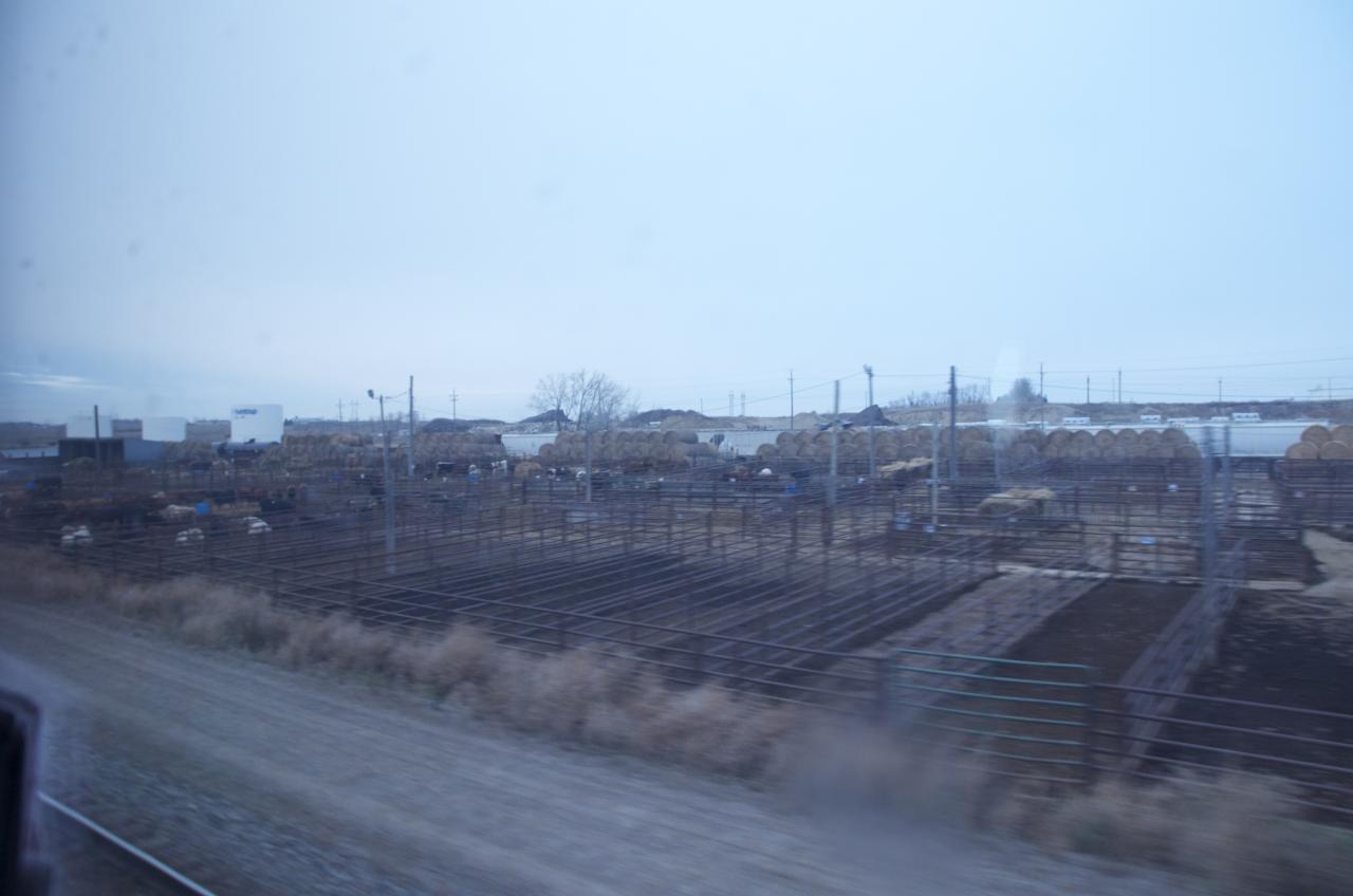 DSC 0431