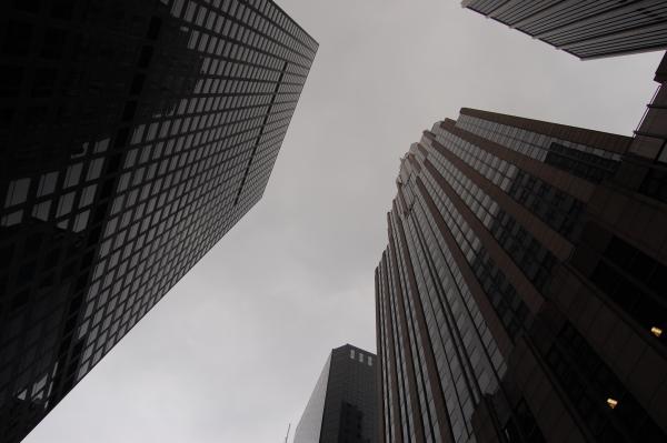 DSC 0502