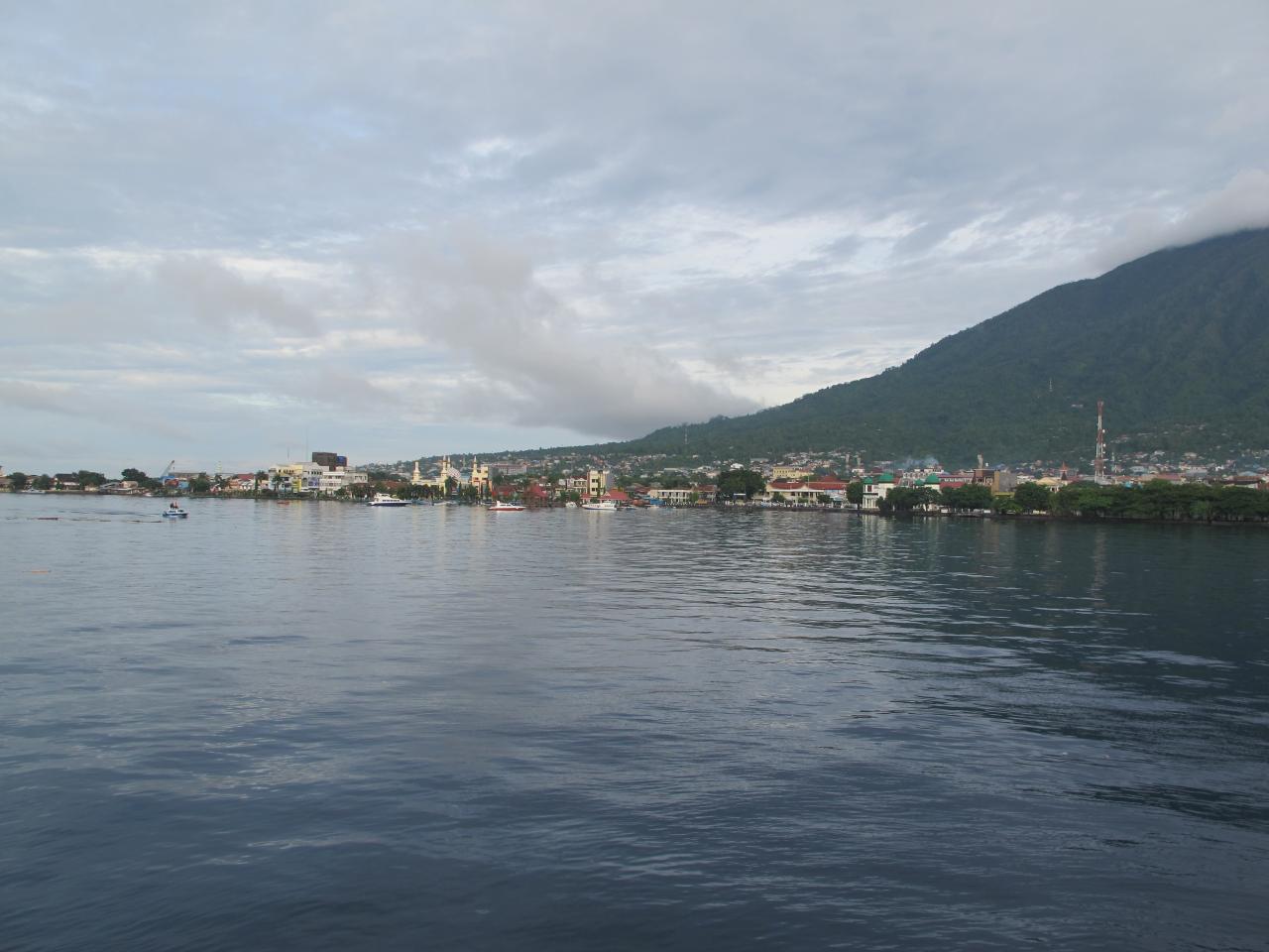 IMG 0310