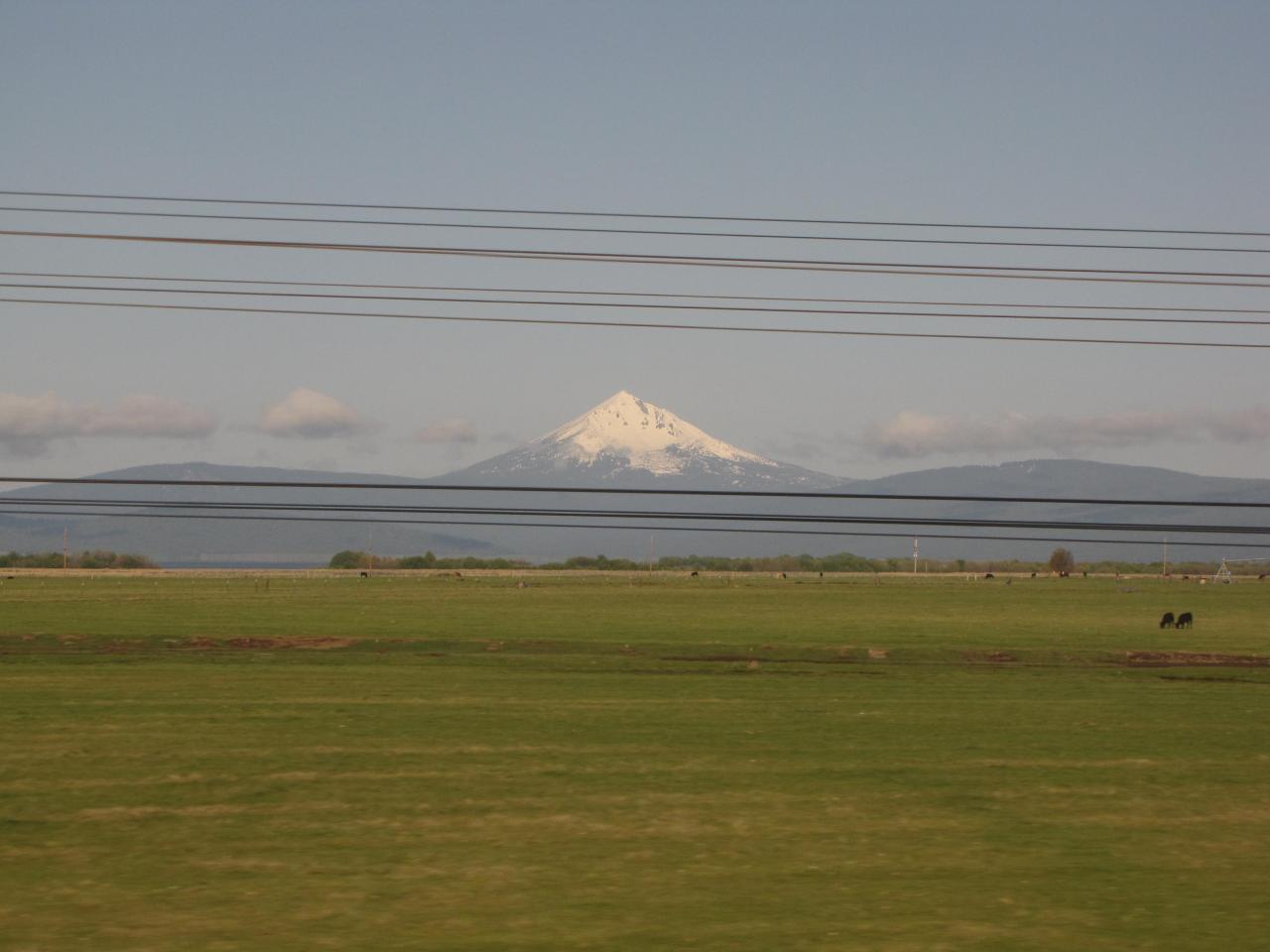 IMG 0325
