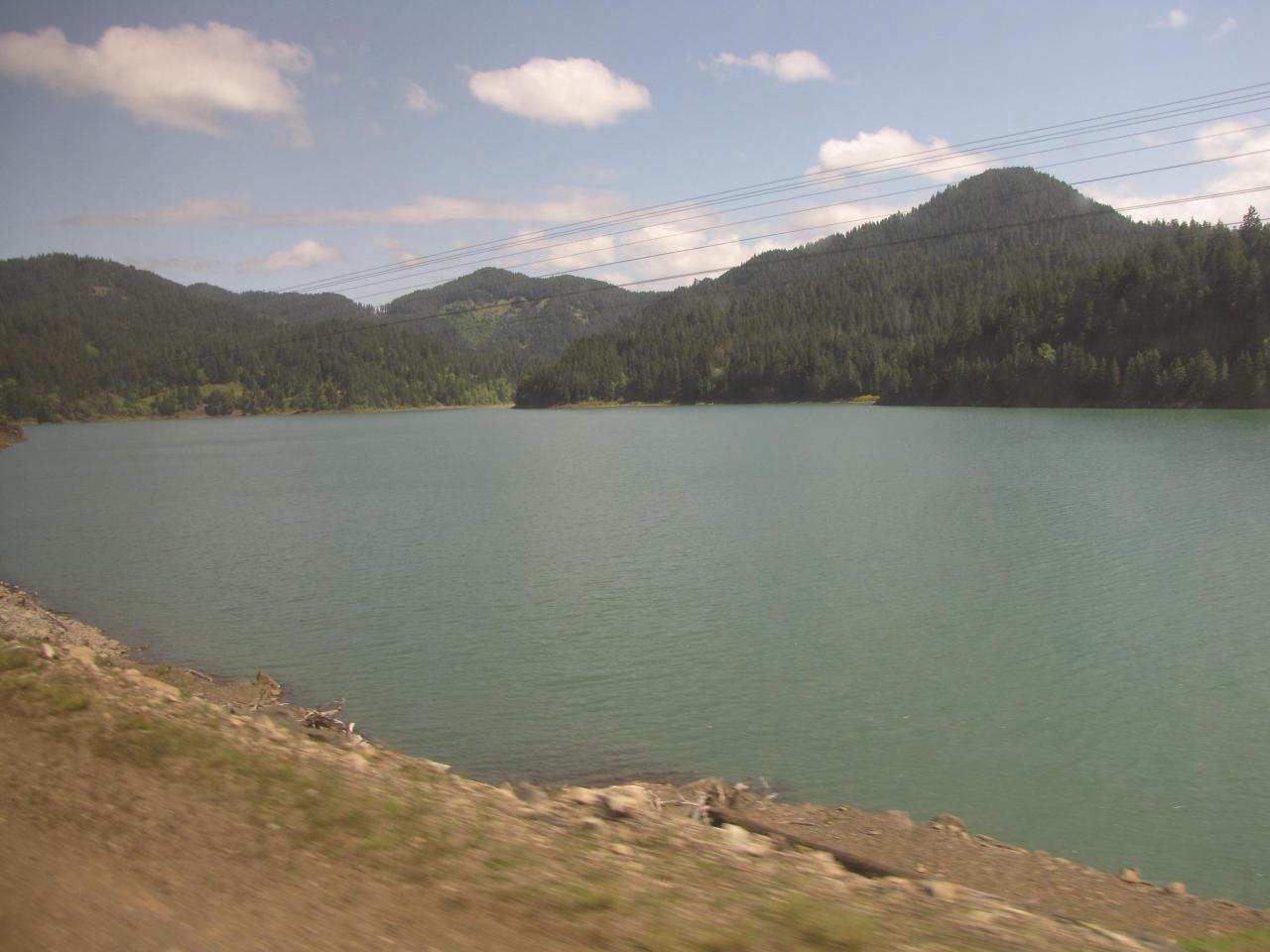 IMG 0347
