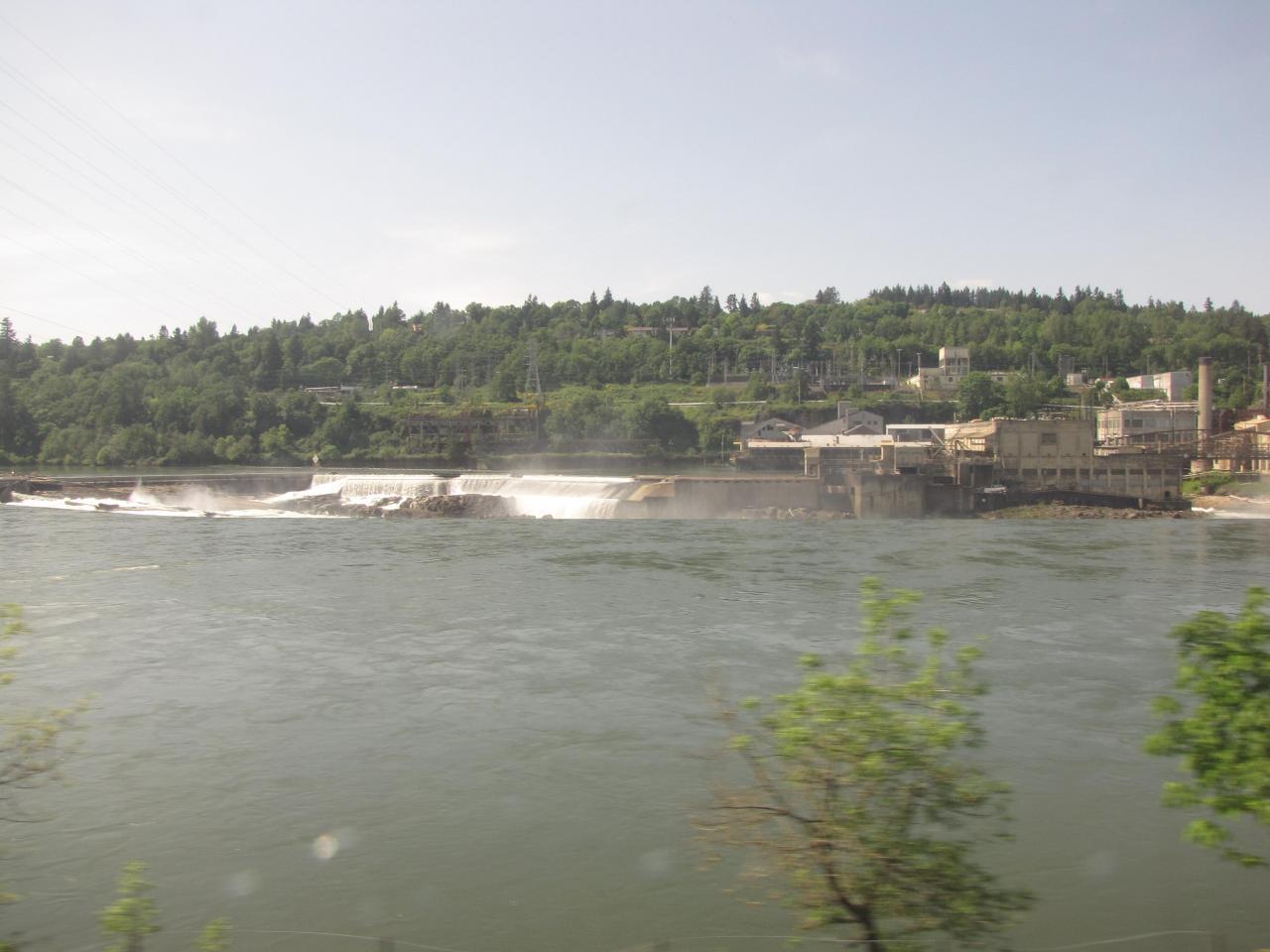 IMG 0374