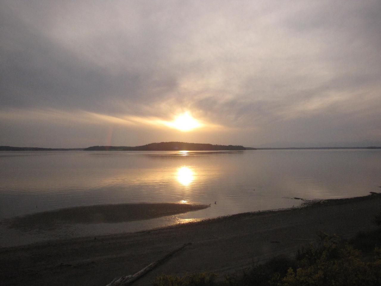 IMG 0429