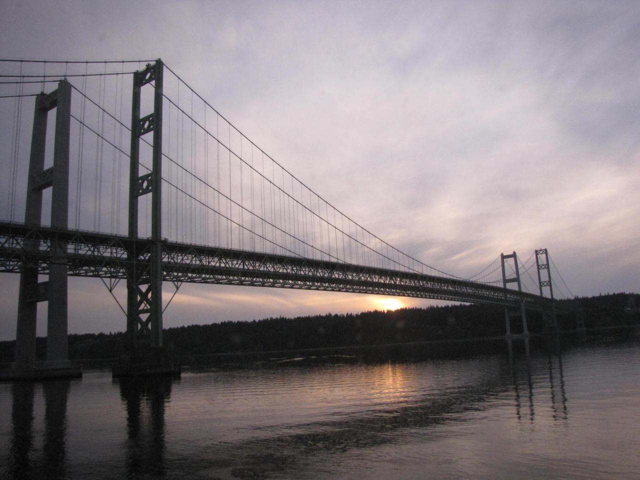 IMG 0456