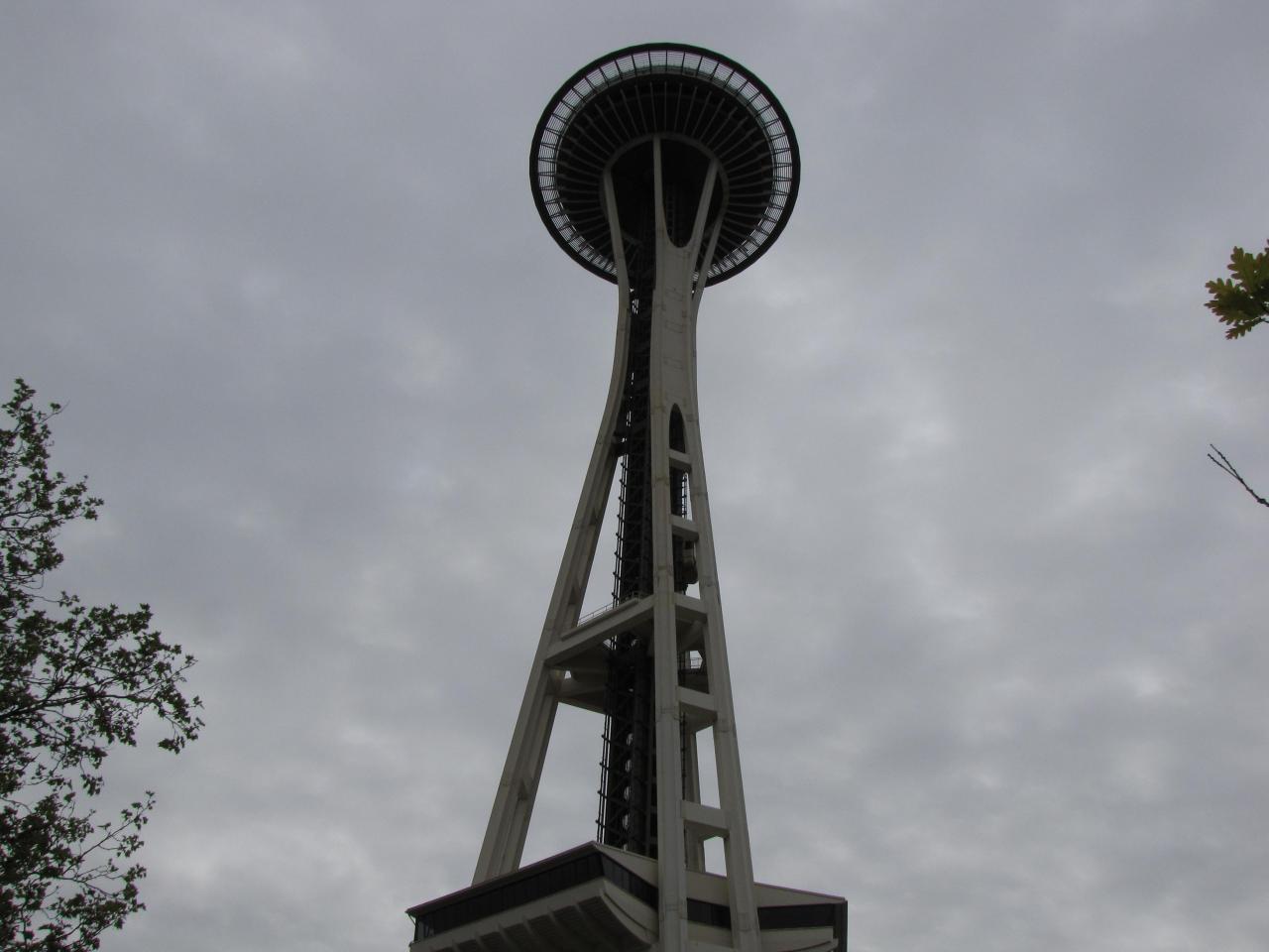 IMG 0547