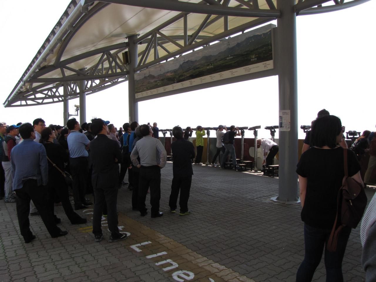 IMG 3078