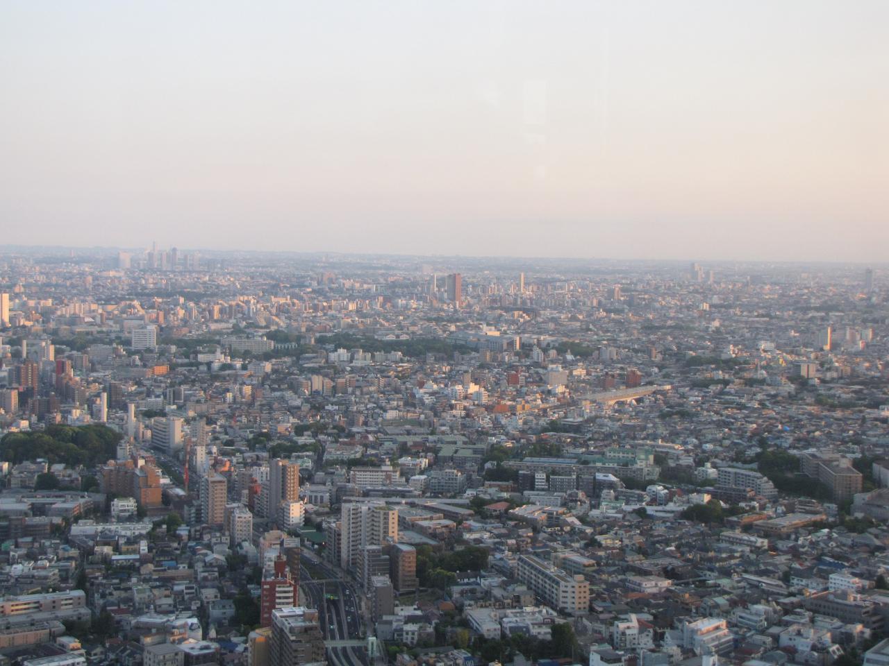 IMG 7522