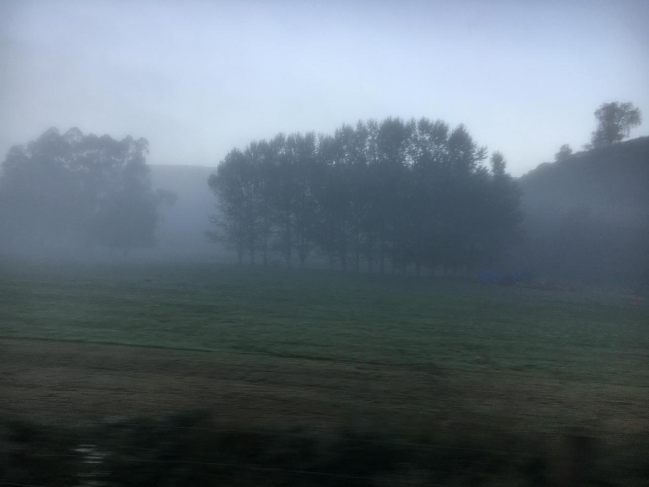 IMG 9855