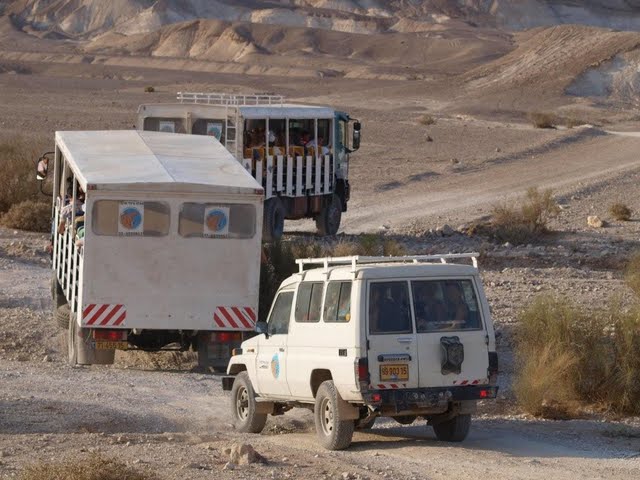 jeep tour true dessert