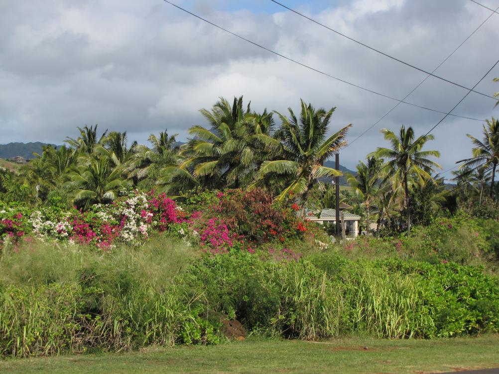 Kaua'i