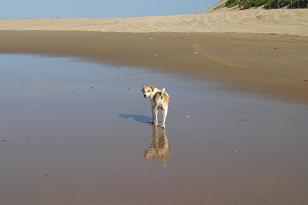 Mosambik Guinjata einsamer Strand