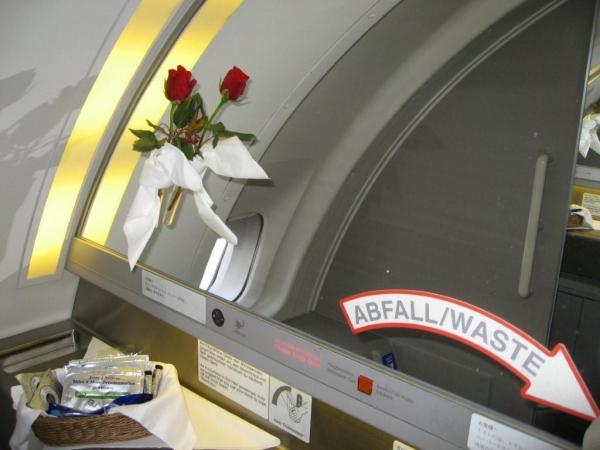 Nette Rose in groÃŸer Toilette mit wenig Amenities