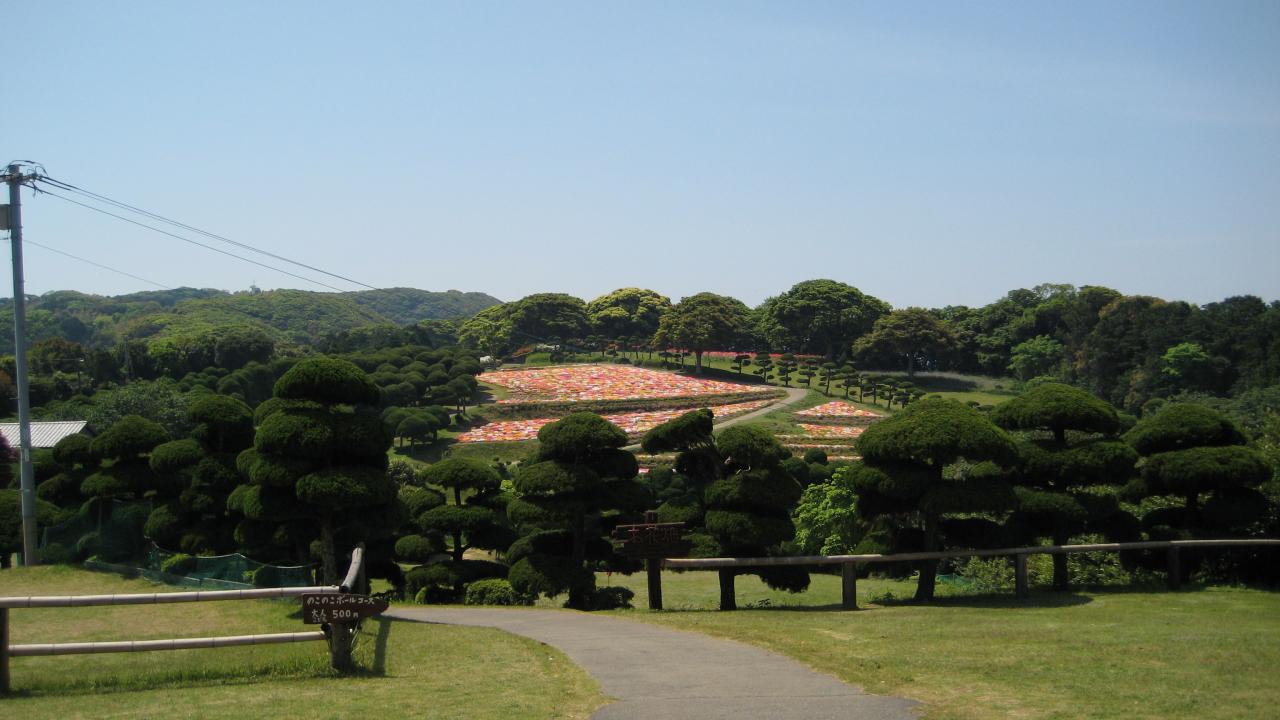 Nokonoshima Island