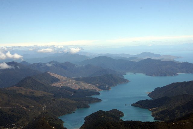 nz5