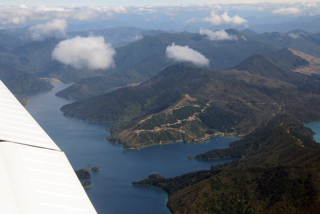 nz6