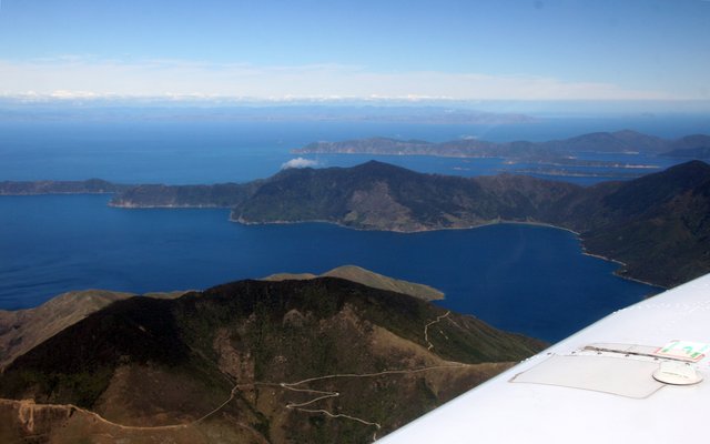 nz8
