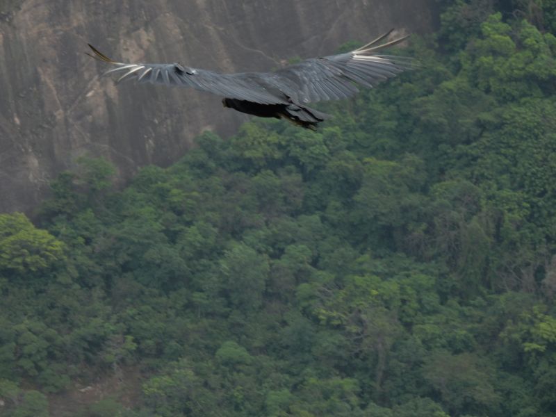 Rio2015011