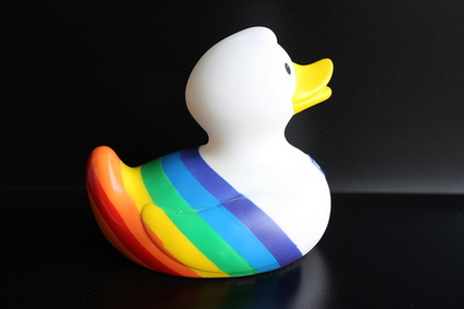 Schwule Ente