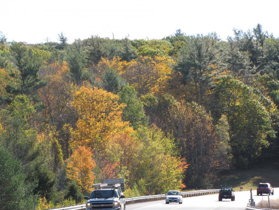Vermont