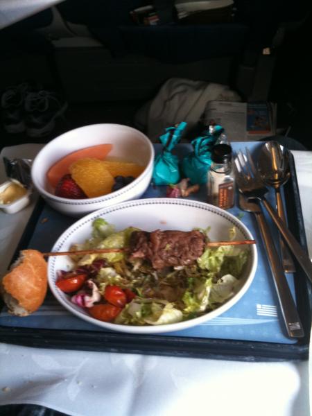 Vor der Landung US 703 FRA-PHL 12.06.2010